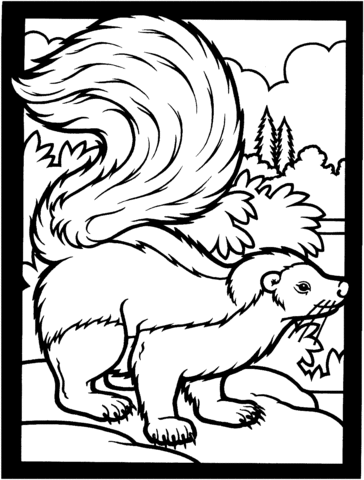 Striped Skunk Coloring Page